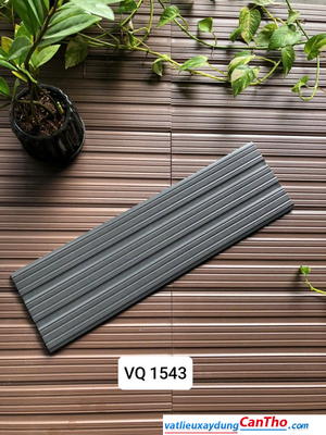 Việt Nhật VQ 1543